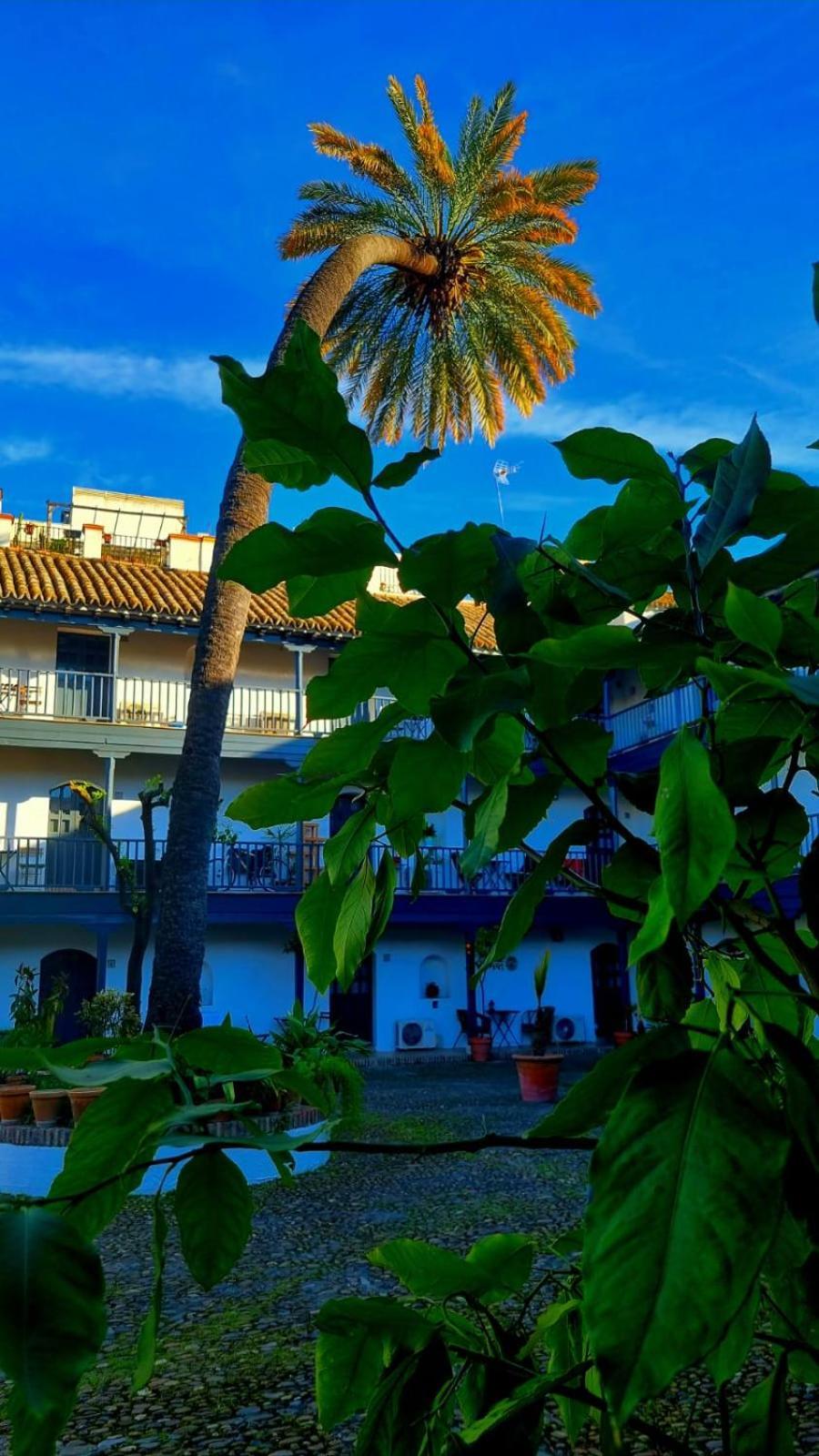 Andalusian Courtyard Apartment Seville Exterior photo